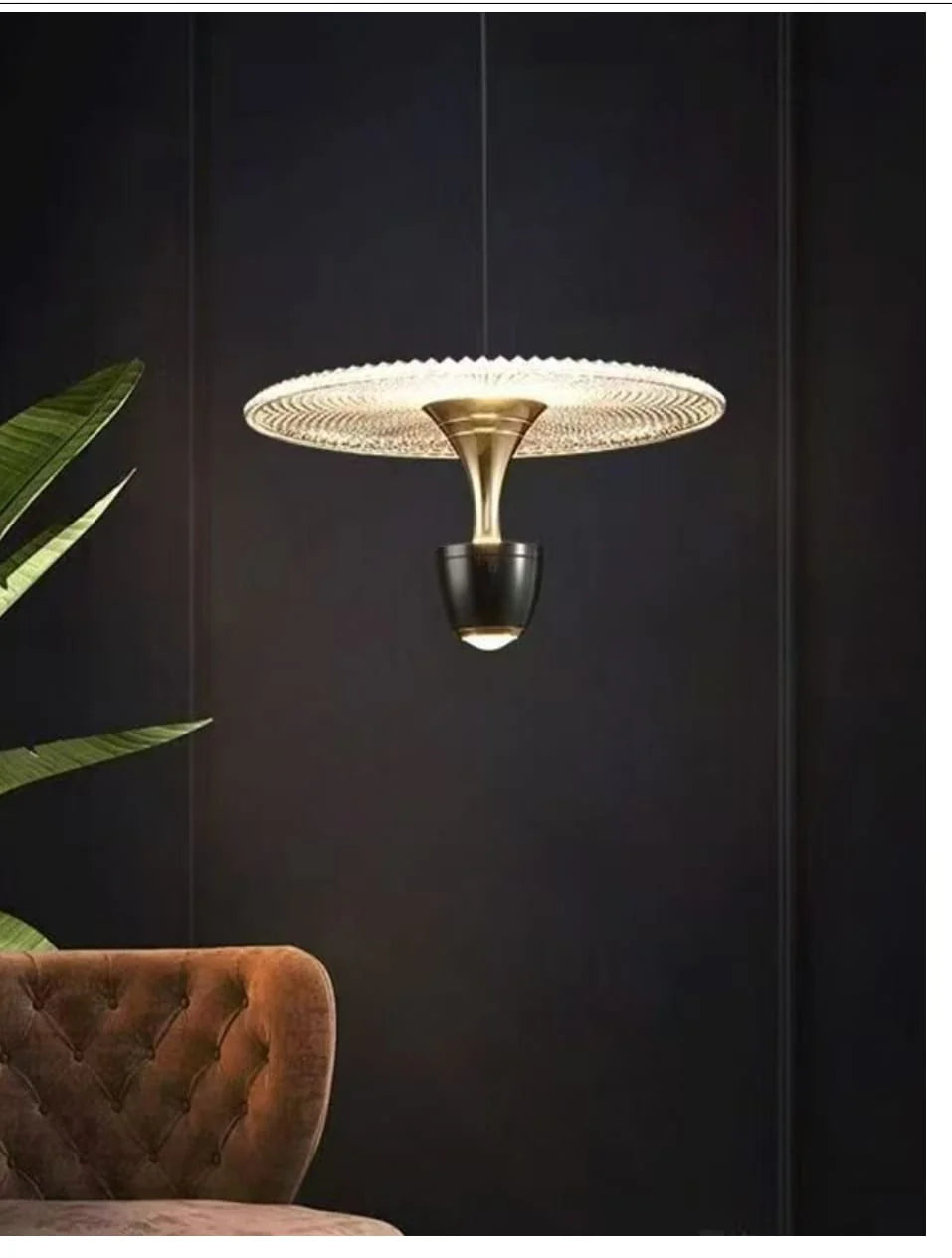 Disc Pendant Hanging