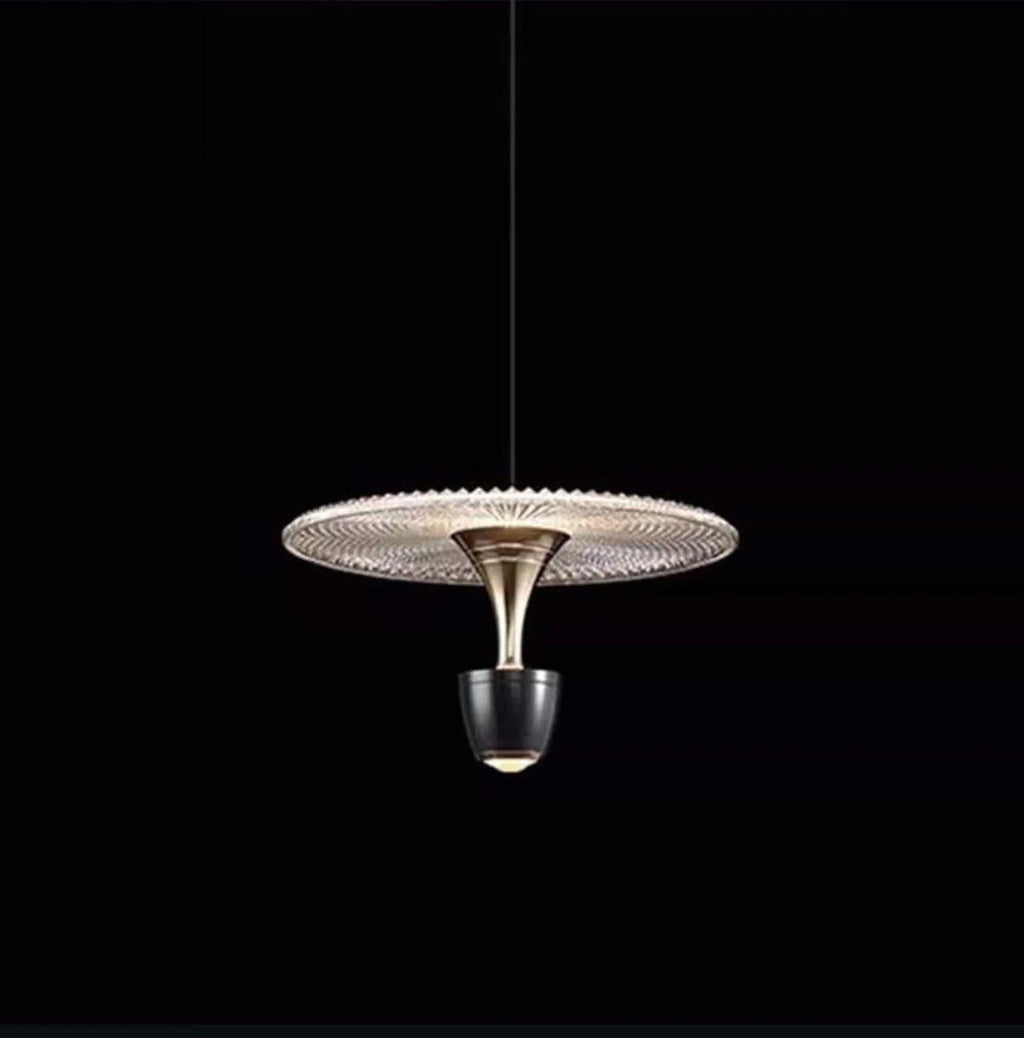 Disc Pendant Hanging