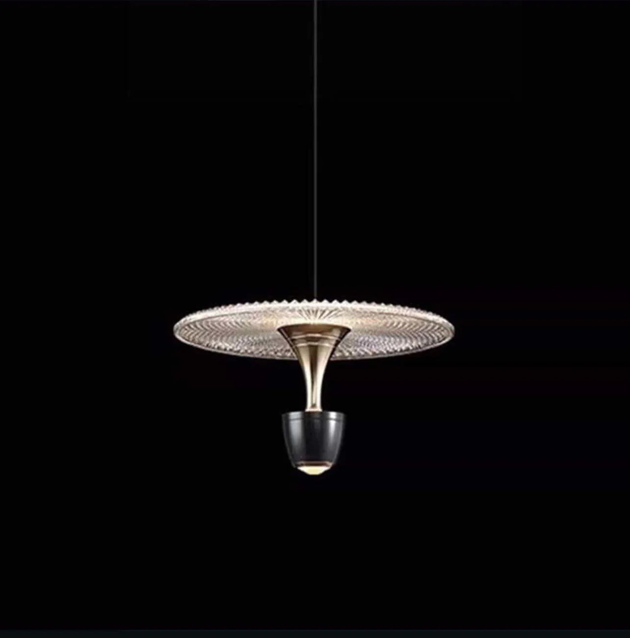 Disc Pendant Hanging