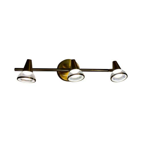 3 head Vanity Light